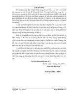 TÌNH HÌNH tổ CHỨC kế TOÁN tại CÔNG TY cổ PHẦN vải NHÁM TRƯỜNG sơn 