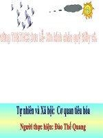 Bài 5. Cơ quan tiêu hoá