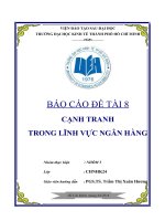 Tiểu luận môn nghiệp vụ ngân hàng thương mại cạnh tranh trong lĩnh vực ngân hàng