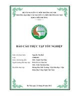 Báo cáo thực tập tại phòng hóa môi trường  viện hóa học  viện khoa học công nghệ việt nam