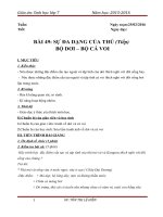 Bài 49: Sự đa dạng của thú  Bộ dơi và bộ cá voi