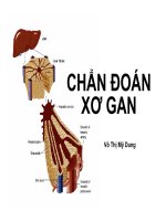 Bài giảng chẩn đoán sơ gan   võ thị mỹ dung
