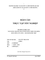 TÌNH HÌNH tổ CHỨC KIỂM SOÁT nội bộ PHÒNG GIAO DỊCH tân dân   NGÂN HÀNG THƯƠNG MẠI cổ PHẦN PHÁT TRIỂN NHÀ ĐỒNG BẰNG SÔNG cửu LONG – CHI NHÁNH PHÚ THỌ 