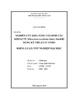 Nghiên cứu khả năng tái sinh cây khoai từ burkill bằng kỹ thuật in vitro 