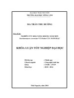 Nghiên cứu khả năng kháng nấm men saccharomyces cerevisiae và pichia của nano bạc 