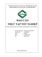 BÁO cáo THỰC tập tại CÔNG TY cổ PHẦN xây DỰNG số 9 – VINACONEX 9