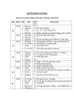 LBG Lớp 4 Tuần 19 - 22