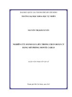 Nghiên cứu đánh giá liều trong chẩn đoán CT bằng mô phỏng monte carlo 