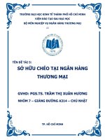 Tiểu luận môn nghiệp vụ ngân hàng thương mại sở hữu chéo tại ngân hàng thương mại