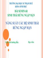 Bài seminar sinh thái rừng ngập mặn năng suất các hệ sinh thái rừng ngập mặn