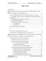 Quá trình hạch toán các nghiệp vụ kế toán cơ bản của Công ty Cổ Phần Đầu Tư Xây Dựng và Thương Mại Tân Trường An