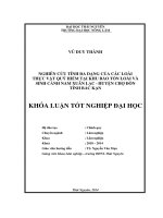 Nghiên cứu tính đa dạng của các loài thực vật quý hiếm tại khu bảo tồn loài và sinh cảnh nam xuân lạc   huyện chợ đồn   tỉnh bắc kạn 