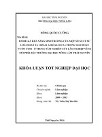 Đánh giá khả năng sinh trưởng của một số xuất xứ loài xoan ta trong giai đoạn vườn ươm ở trung tâm nghiên cứu lâm nghiệp vùng núi phía bắc   trường đại học nông lâm thái nguyên 