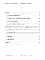 Tình hình thực hiện nhiệm vụ sản xuất kinh doanh công ty TNHH Pizza Việt Nam.