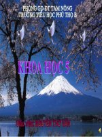 Bài 64. Vai trò của môi trường tự nhiên đối với đời sống con người