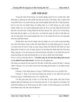 Tìm hiểu công tác kế toán hoạt động kinh doanh và xác định kết quả kinh doanh tại công ty TNHH kiểm toán và tư vấn đất việt 