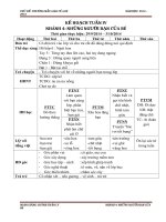 giáo án nhánh những người bạn của bé