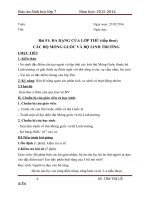 Bài 51: Đa dạng của lớp thú (tt) Các bộ móng guốc và bộ linh trưởng