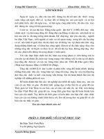 Báo cáo thực tập điện tử: TỔNG ĐÀI ALCATEL 1000 E10 ở ưu Điện Tỉnh Vĩnh Phúc