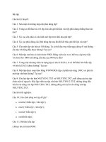 Bài Tập: Thao Tác Với Tệp