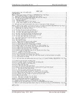 Báo cáo thực tập: công tác kế toán tại Công ty Cổ Phần Thương Mại ROYAL Việt Nam