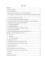 Báo cáo đánh giá tác động môi trường tại dự án đầu tư xây dựng khu tái định cư số 4 thuộc dự án thủy điện trung sơn