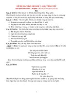 BỘ ĐỀ THI  HSG  LỚP 5