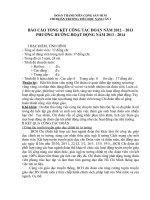 BAO CÁO DOÀN 2013-2014