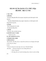 bài 49 bộ dơi và bộ cá voi