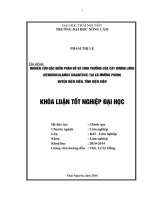 Nghiên cứu đặc điểm phân bố và sinh trưởng của cây bương lông tại xã mường phăng, huyện điện biên, tỉnh điện biên 