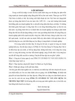 Báo cáo thực tập: Quản Trị Nhân Lực-Tuyển Dụng tại CÔNG TY CỔ PHẦN TƯ VẤN XÂY DỰNG VÀ THƯƠNG MẠI VIỆT Á.