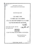 Cấu trúc vốn và hiệu quả tài chính của các doanh nghiệp vừa và nhỏ tại thành phố hồ chí minh 