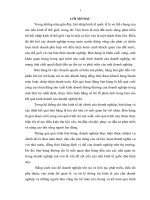 Tổ chức công tác kế toán bán hàng và xác định kết quả bán hàng tại công ty cổ phần latca việt nam 