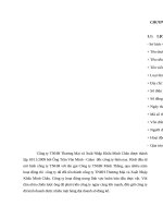 TỔ CHỨC bộ máy kế TOÁN tại CÔNG TY TNHH THƯƠNG mại và XUẤT NHẬP KHẨU MINH CHÂU 