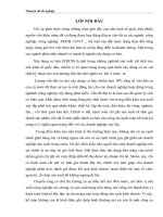 Tổ chức kế toán chi phí sản xuất và giá thành sản phẩm tại công ty cổ phần giao thông tiền hải 