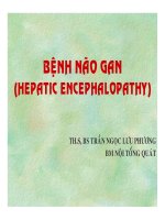 Bài giảng bệnh não gan (hepatic encephalopathy)   ths  BS  trần ngọc lưu phương
