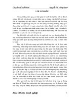 Hoàn thiện kế toán bán hàng và xác định kết quả bán hàng tại công ty thương mại điện tử thành sơn 