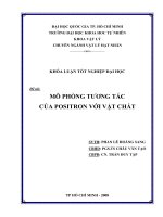 Mô phỏng tương tác positron trong vật chất 