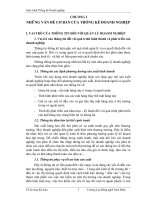 Giáo trình thống kê doanh nghiệp  phần 1