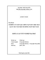 Nghiên cứu kết quả biến nạp gen chịu hạn ZmNF YB2 vào một số dòng ngô việt nam 