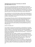 Những điều quang trọng cần lưu ý khi nuôi gà con ở tuần đầu