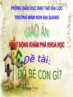 kham pha khoa hoc con ca