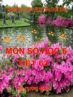 Chương II. §12. Tính chất của phép nhân