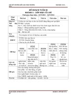 giáo án nhánh lop hoc cua be