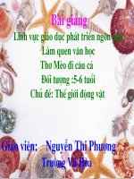 tho meo đi câu cá