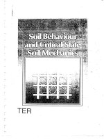 Soil behavior and critical state soil mechanics