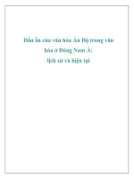 Dấu ấn của văn hóa ấn độ trong văn hóa ở đông nam á