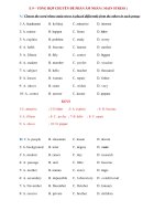 E VÀO 10 - CHUYÊN ĐỀ ÂM NHẤN ( MAIN STRESS ) + KEYS