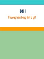 Bài 1. Chương trình bảng tính là gì?