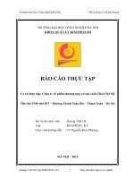 Báo cáo thực tập quản trị kinh doanh: Công ty cổ phần thương mại và sản xuất Thái Việt Mỹ